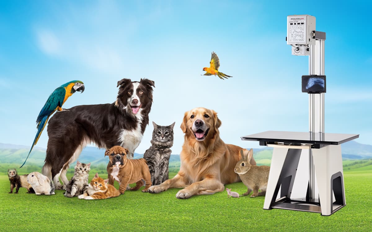 小動物診療に — AtomscopeX-SA